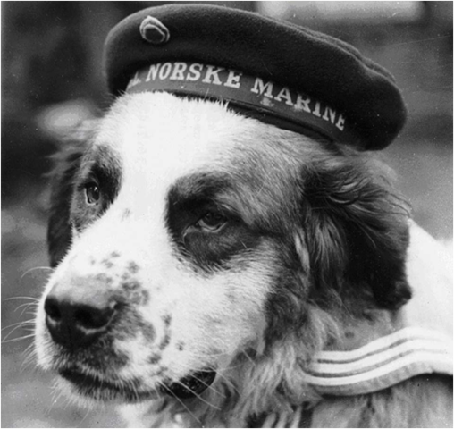 Bamse fue un perro San Bernardo verdaderamente especial que en 1940 fue inscrito oficialmente como miembro de la tripulación del buque noruego Thorod