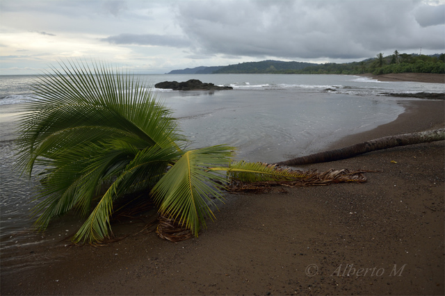 Reportaje fotográfico Costa Rica - Septiembre 2015 (Parte II) - Reportaje fotográfico Costa Rica - Septiembre 2015 (12)