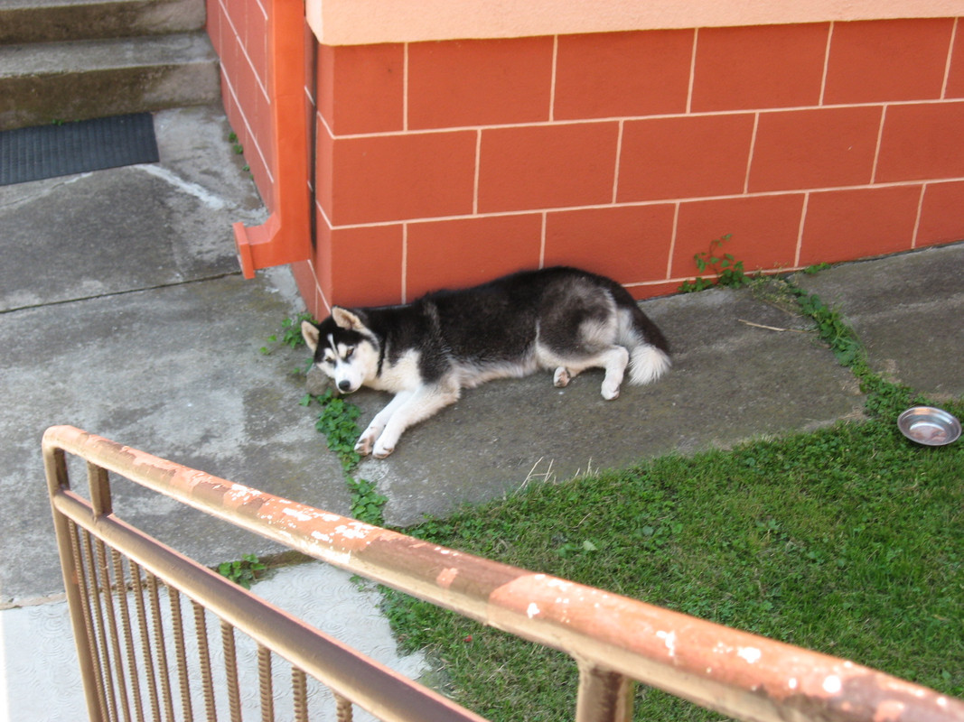 Slika