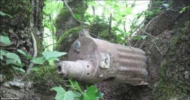 Cascos, granadas y armas tragados por troncos de árboles en Rusia