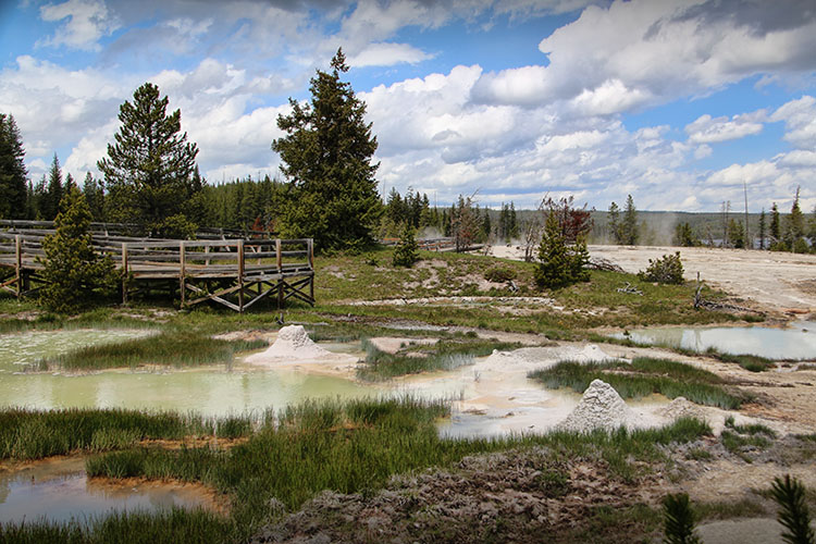 DIA 15: Grand Teton - Yellowstone - 18 días por la Costa Oeste de Estados Unidos: un sueño hecho realidad (7)