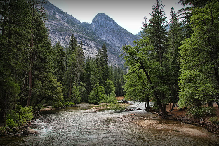 18 días por la Costa Oeste de Estados Unidos: un sueño hecho realidad - Blogs de USA - DIA 6: Fresno – Yosemite – Bishop (10)