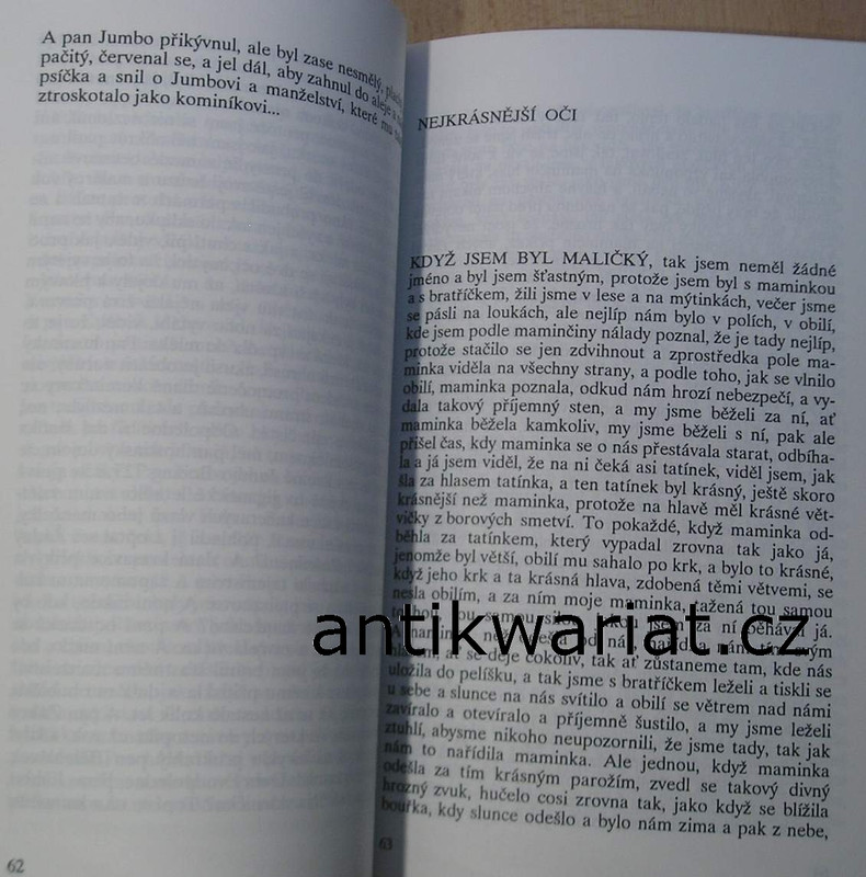 1wa Image00513