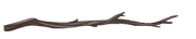 Divider_Branch2.png