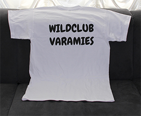 Varamies