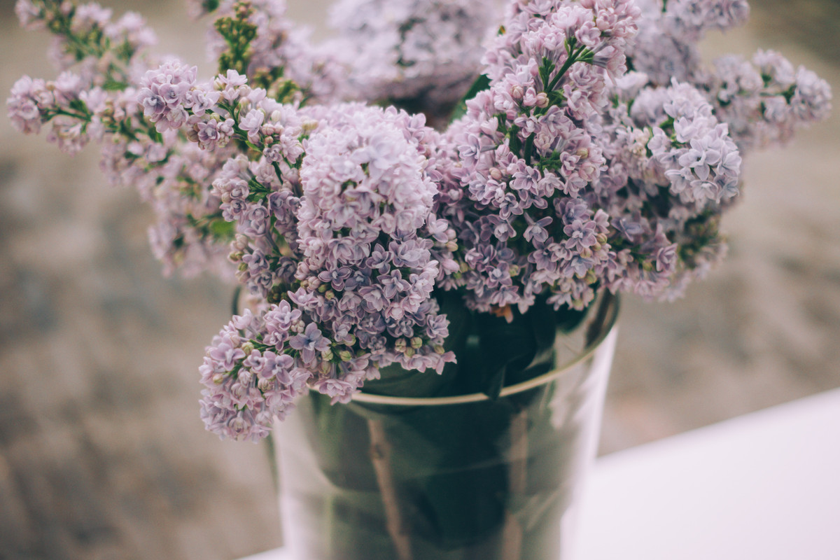 Give the gift of love and consideration: flowers in a vase!