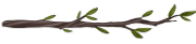 Divider_Branch3.png