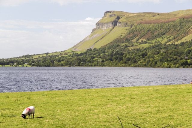 Roadtrip de 12 dias por el norte de Irlanda - Blogs de Irlanda - Dia 6. Mullaghmore Head, Benbulben, Glencar Waterfall, Marble arch caves.... (3)