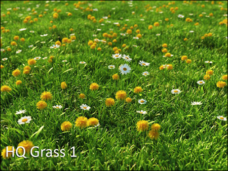HQ Grass vol.1 for Cinema4D