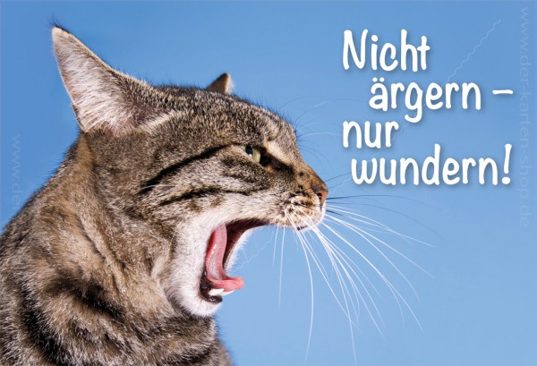 [Bild: Magnet_k-hlschrank_katze_fauchen_nicht_-...00x600.jpg]