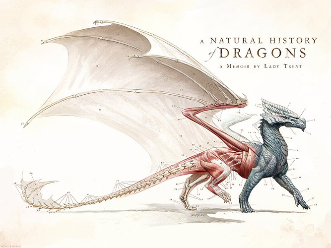 a-natural-history-of-dragons.jpg