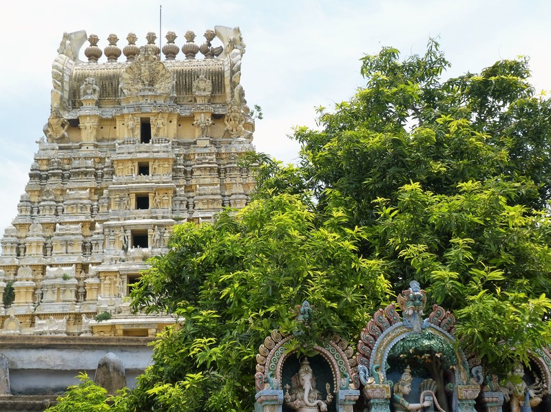 Kanchipuram - Los Colores del Sur de India (8)