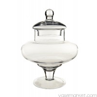 Glass Apothecary Jar H-10" (Pack of 6 pcs)