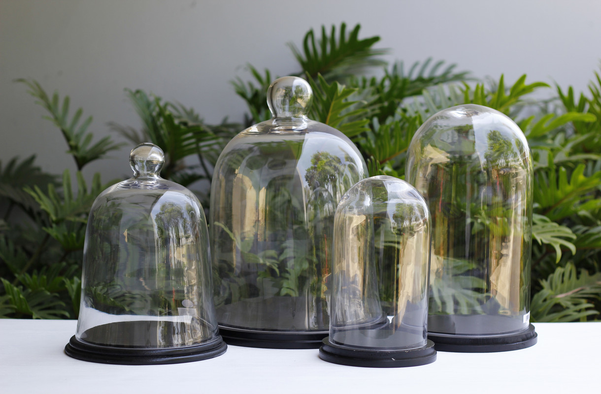 Present your unique gift under an clear glass dome cloche!