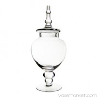 Glass Apothecary Jar H-14.75" (Pack of 4 pcs)