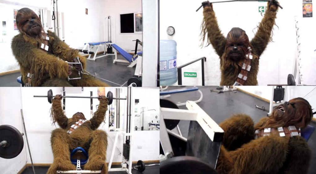 Chewbacca.jpg