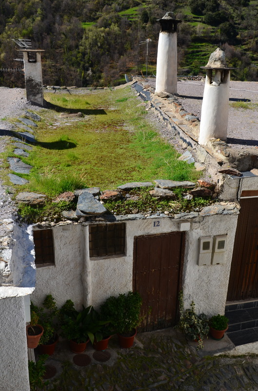 PAMPANEIRA-10-3-2017-GRANADA - Los pueblos más bonitos de España-2010/2023 (45)