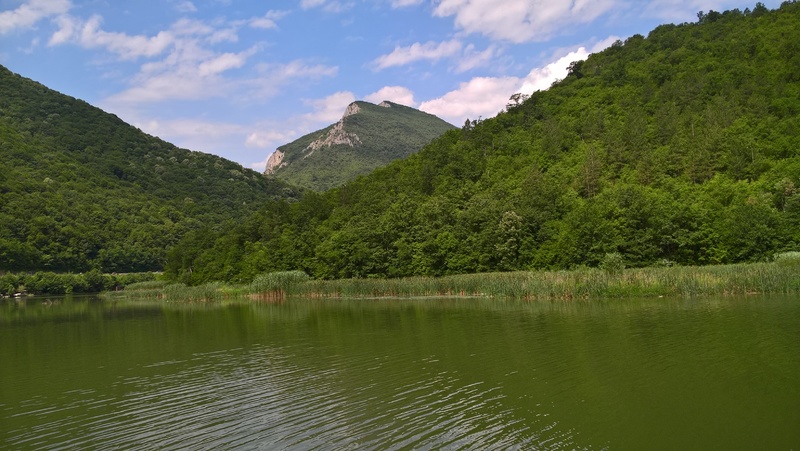 Slika