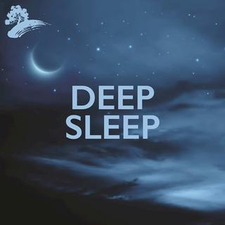 David Arkenstone - Deep Sleep (2017) .mp3 - 320 kbps