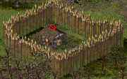 Record_Bug_Cheating_Post_Pict1.png